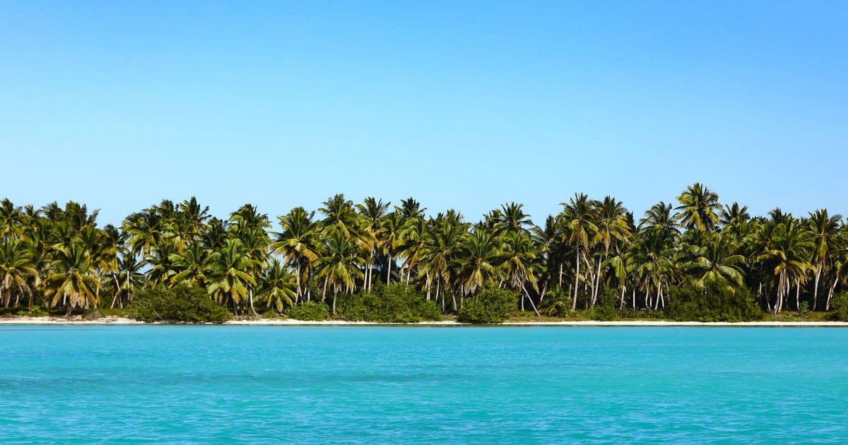 A breathtaking view of a tropical island with lush palm trees lining the turquoise ocean waters, ideal for a serene vacation.