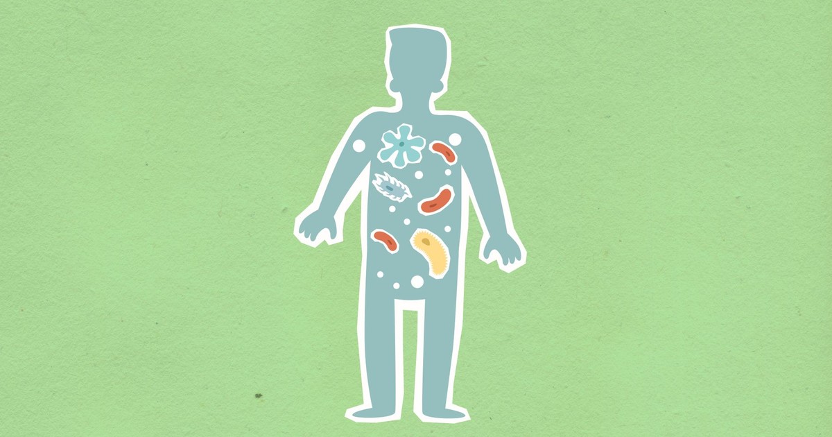 What Your Gut Does With Vegetables May Help Protect Your Health