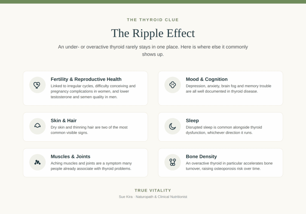 Thyroid Ripple Effect by Sue Kira